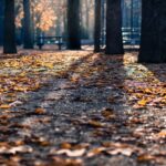 How To Overcome Anxiety Today
